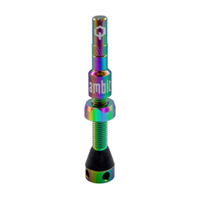 Wentyl AMBIT Tubeless Valves Realm