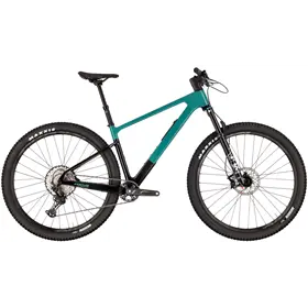 Rower MTB FOCUS Raven 8.8