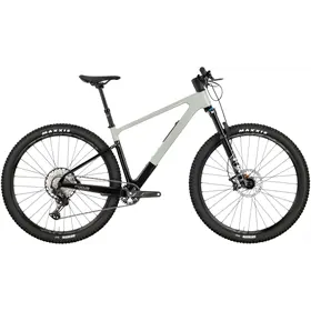 Rower MTB FOCUS Raven 8.8
