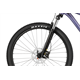 Rower MTB RAYMON Nayta Comp