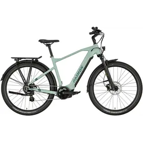 Rower elektryczny RAYMON Tourray Select