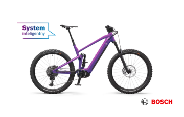 Bosch Smart System